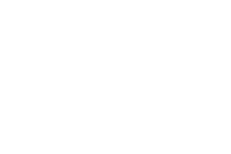 International Practice